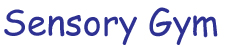 Out East Therapy Sensory Gym